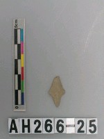 藏品(帶鋌打製石鏃)的圖片